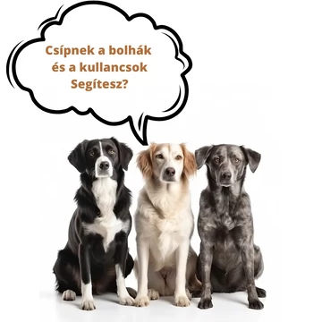 Élősködő elleni készítmény a Kelebiai Kutyamentő Alapítvány részére (donation to Kelebia  animal rescue - anti-parasitic product) 3 db