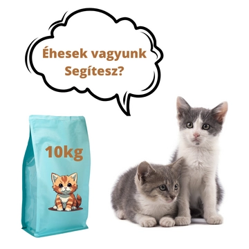 Adomány a Felemás Mancsok – Kölyökmentés részére - Kölyökmacska táp (donation to Puppy rescue - kitten food) 10 kg