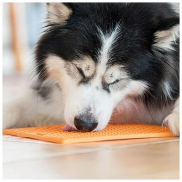 LICKIMAT® CLASSIC BUDDY™ több méretben és színben