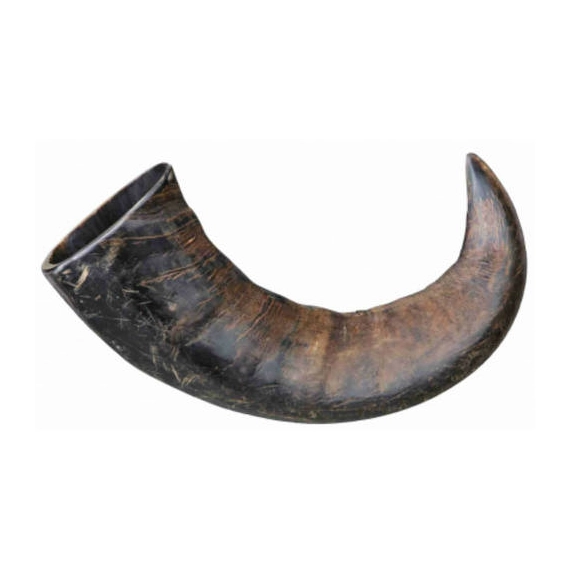 Trixie Buffalo Chewing Horn - jutalomfalat, bivaly tülök, bivaly szarv - nagy