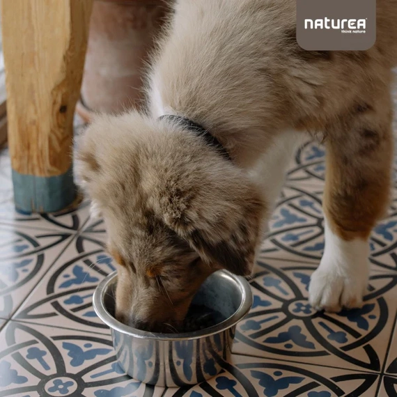 Naturea Naturals Ibériai Sertés Nagytestű Kölyök Kutyatáp 12 kg