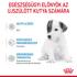 Kép 5/9 - ROYAL CANIN '1st Age Milk - tejpótló tápszer kölyök kutyák részére BabyDog Milk - 400gr