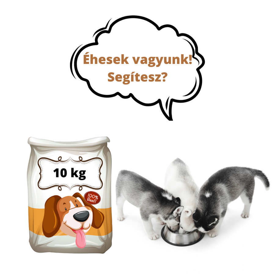 Kölyökkutyatáp 10 kg - adomány a Felemás Mancsok – Kölyökmentés részére (donation to Puppy rescue - classic dog food)