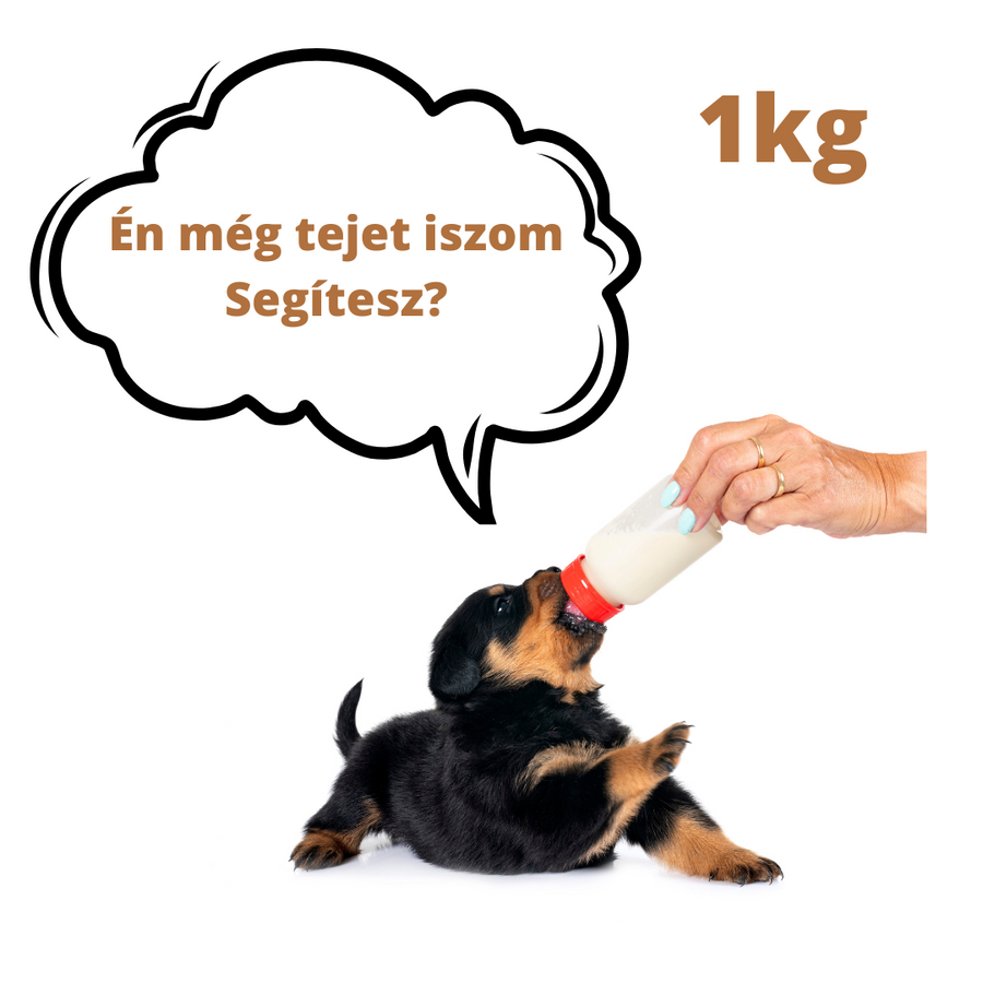 Adomány a Felemás Mancsok – Kölyökmentés részére - tejpótló tápszer kutyáknak (donation to Puppy rescue - BabyDog Milk) 1 kg