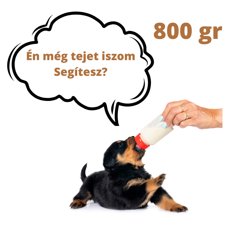 Adomány a Felemás Mancsok – Kölyökmentés részére - tejpótló tápszer kutyáknak (donation to Puppy rescue - BabyDog Milk) 800 gr